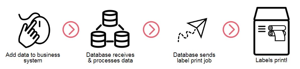 Action in a Business System