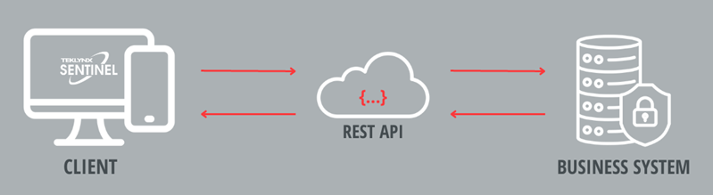 RESTful API graphic with computer, cloud, and business system or server communicate together for rest