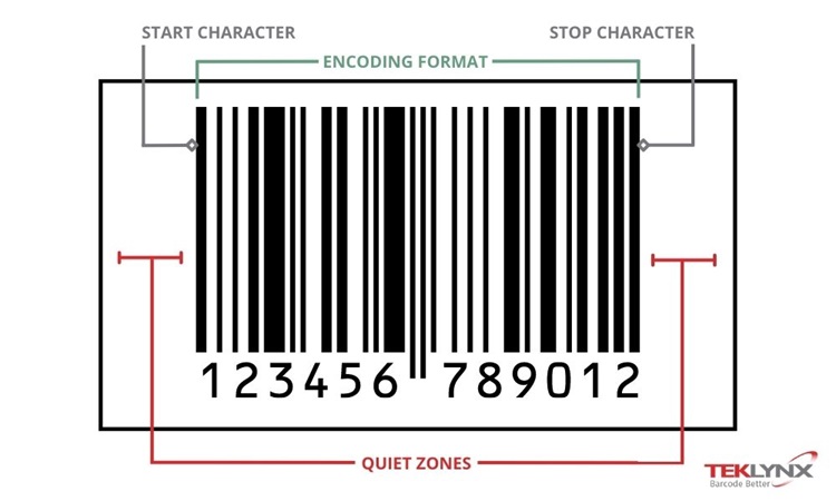 Diagram of a barcode to show how barcodes work. Diagram includes start character, stop character, quiet zones, and encoding format/symbology of a barcode.
