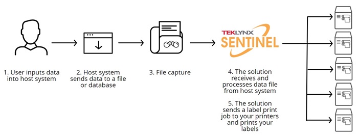 Integrate label print automation software across multiple locations