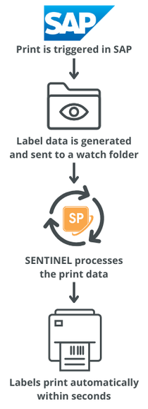 SAP barcode label printing