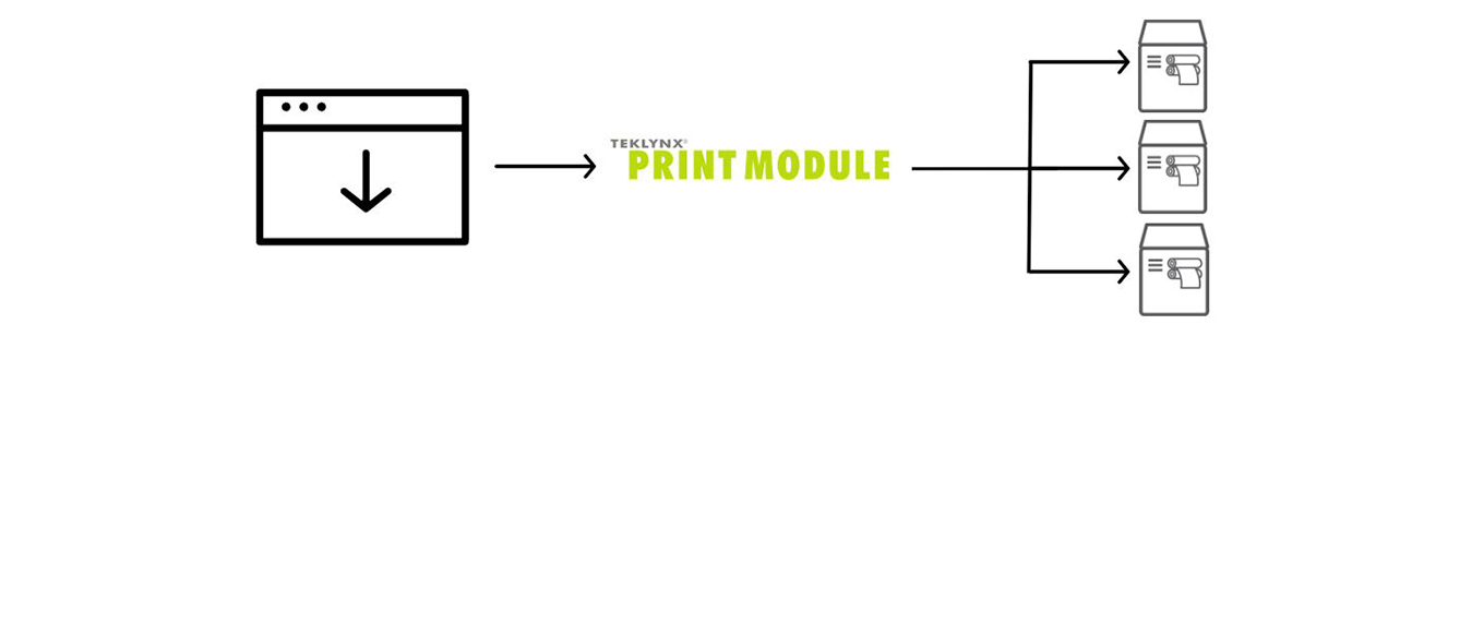 PRINT MODULE - लेबल प्रिंटिंग सॉफ्टवेयर