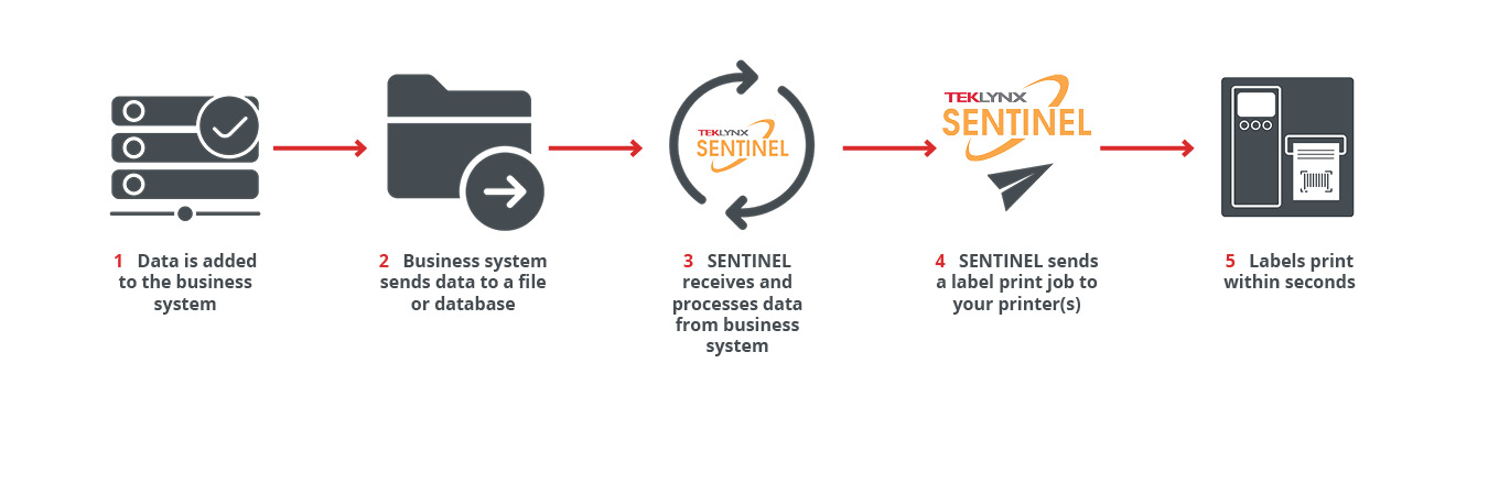 How SENTINEL Print Automation Software Works