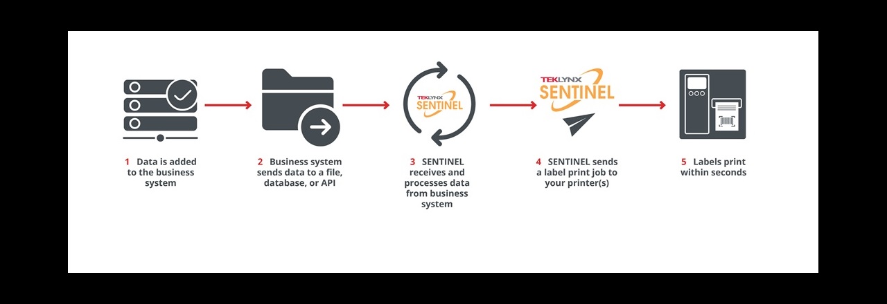 How SENTINEL Print Automation Software Works